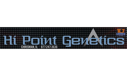 Hi Point Genetics Logo image for Hi Point Genetics