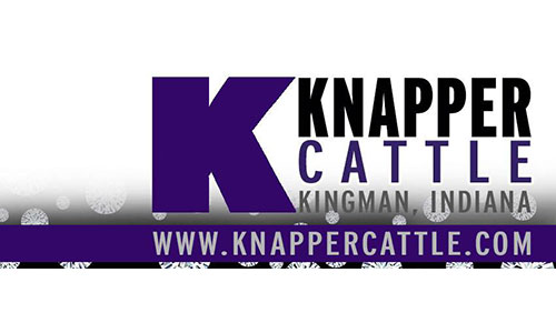 Knapper Cattle Logo image for Knapper Cattle