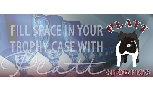 Platt Showpigs Logo image for Platt Showpigs