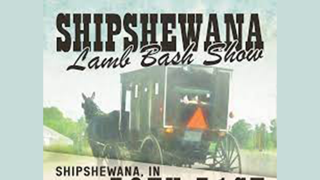 2024 Minnesota State Fair FFA Breeding Wool Sheep Show 8 AM CT